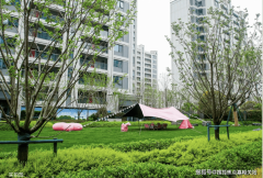 第一大股东控股比例介于10%～50%的制衡型